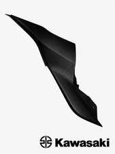 Fianchetto sottoserbatoio SX Frame cover left Kawasaki Z750/1000 oem 3600102006