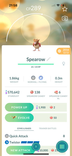 Pokémon vecchio pokemon - pokémon,