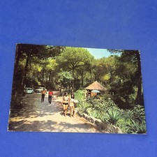 CECINA LE GORETTE S. PIETRO IN PALAZZI - A COLORI - CARTOLINA