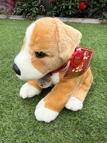 Chiglia doodle cani jackabee - chiglia,