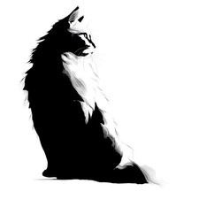 4 adesivi gatto delle foreste