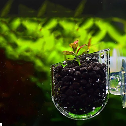 Decorazione acquario pesci - , da