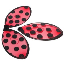 2 di coccinella: accessorio