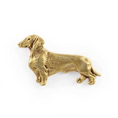 Dachshund rauhhaar bassotto - dachshund,