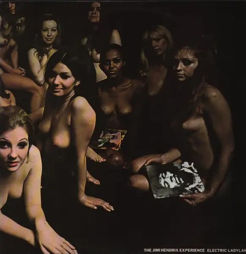 The jimi hendrix - the,