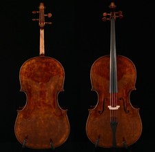 Fantastico violoncello suono - fantastico,