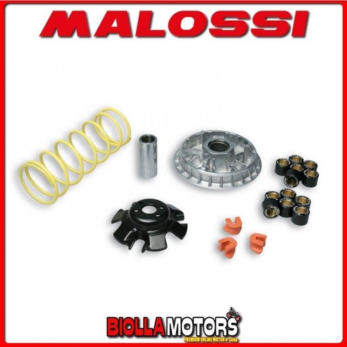 5113892 variatore malossi - variatore,