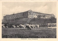 Cartolina postcard - cartolina,