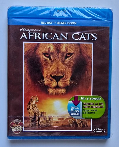 African cats fuori - african,