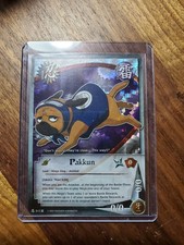 Pakkun - N-312 - Comune -