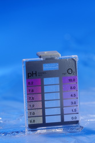 Mini pooltester ph - mini, o2/ph