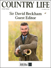 COUNTRY LIFE MAGAZINE 22 OCTOBER 2025 ~ GUEST EDITOR SIR DAVID BECKHAM ~ NEW ~