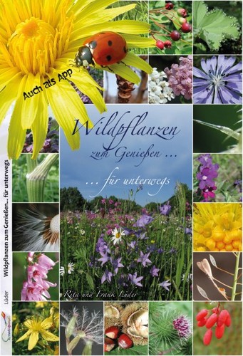 Wildpflanzen zum genießen - wildpflanzen,