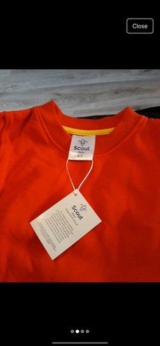 Maglione uniforme scoiattoli