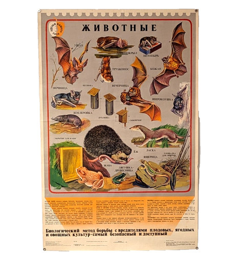Amici del nostro giardino - !,