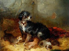 Dipinto olio animali in