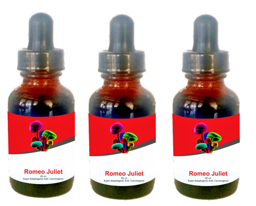 Protocol romeo juliet - protocol,