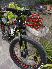 Scout Fat Bike