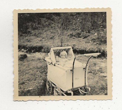 737 foto passeggino - 37/737,