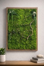 Quadro Decorativo Con Muschio