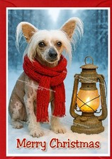 Biglietto di Natale cinese