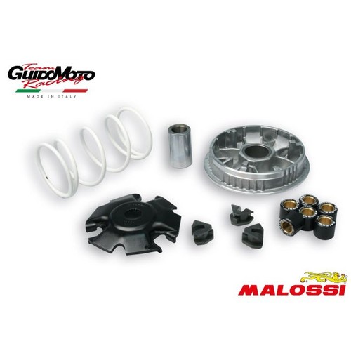5111594 variatore malossi - 5111594,