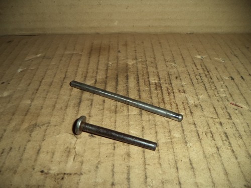 Beta camoscio motore - camoscio, 50