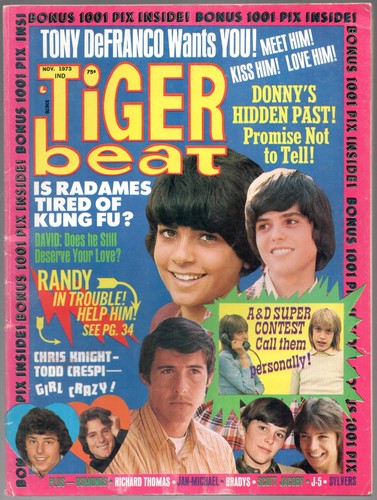 Tiger beat nov 1973 donny - nov,