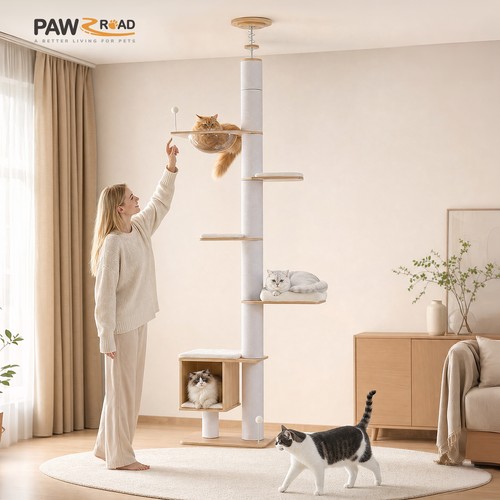 Pawz torre albero gatto strada - pawz,