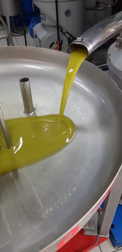 Azienda olio extra vergine - ,