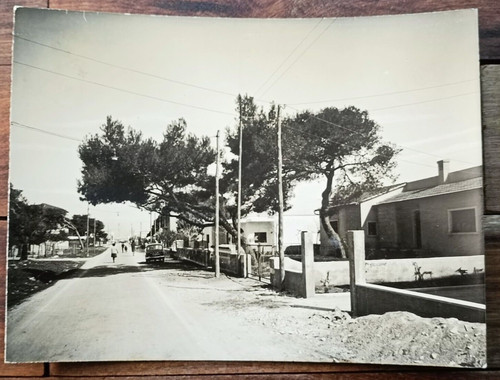 Marina ginosa 1961 - ginosa,
