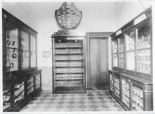Pinerolo torino fotografiche - pinerolo,