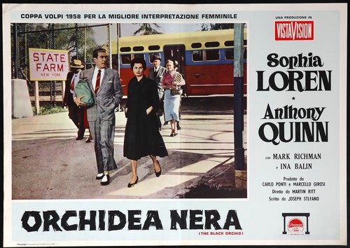 Cinema fotobusta orchidea nera - orchidea,