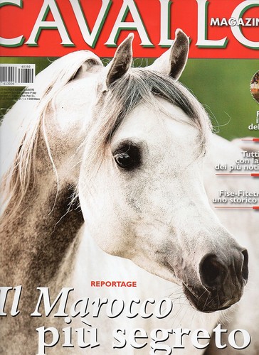 Cavallo 2016 350 gennaio#Il