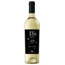 Bianco umbria igt - bianco,