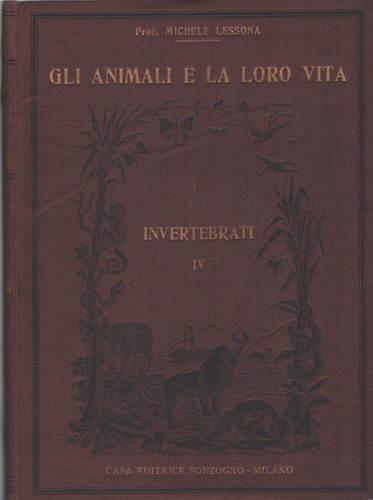 Gli invertebrati animali - -,