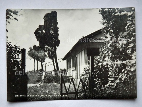 Brugora besana brianza - di,