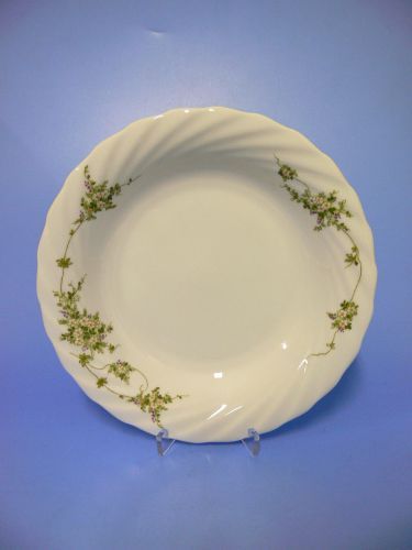 Eschenbach elena piatto - eschenbach,