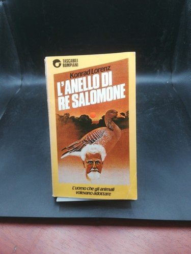 Anello re salomone - di,