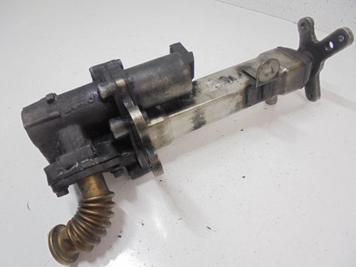 Radiatore gas scarico - radiatore,