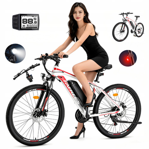 Bicicletta elettrica - , 26
