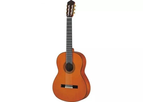 Chitarra acustica classica