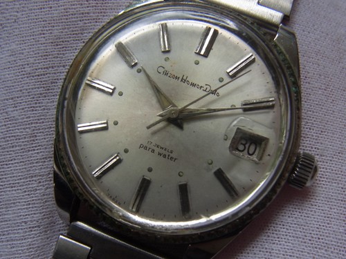 Spazzatura citizen homer - homer, date