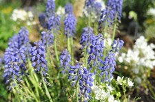 [Testato!/Opt come nuovo]