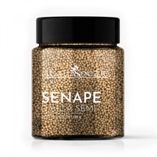 Senape Gialla in Semi  -