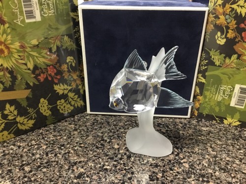 Statuina pesce scalare - , in