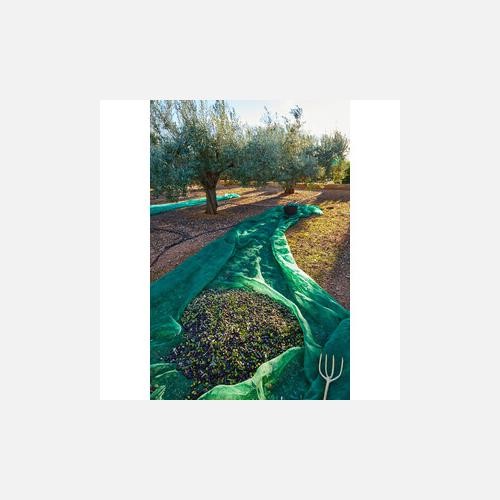 Telo rete raccolta olive - rete,