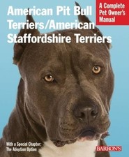 American Pit Bull