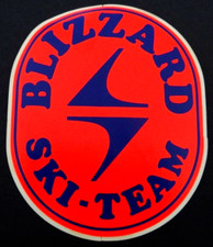 Adesivo Pubblicità Blizzard