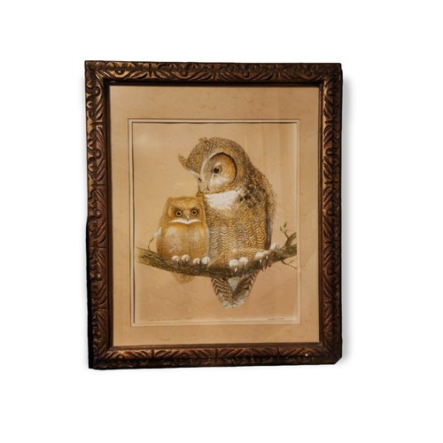 Harold mcintosh owls opera - harold,